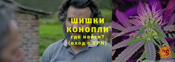 PSILOCYBIN Алексеевка