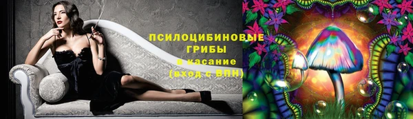 PSILOCYBIN Алексеевка