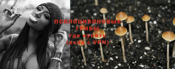 спиды Абдулино