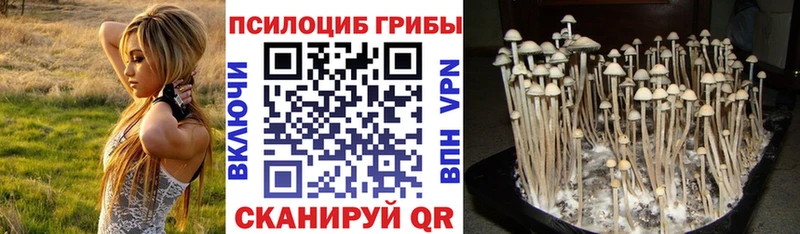 OMG ССЫЛКА Богородицк Псилоцибиновые грибы мицелий цена