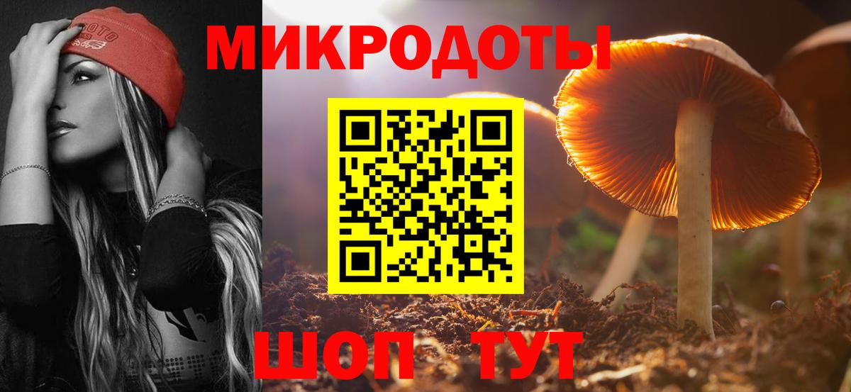 Галлюциногенные грибы Psilocybine cubensis Богородицк